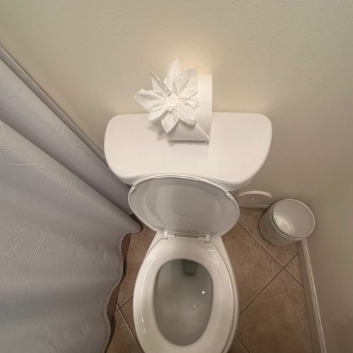 WhatsApp Image 2025-05-09 at 1.19.43 PM (3)