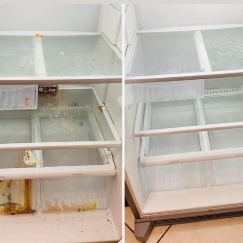 WhatsApp Image 2025-05-09 at 1.19.46 PM